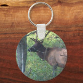 カタロヒエエルク キーホルダー (正面)