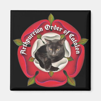 カタロン磁石のアルチュリアン級 マグネット