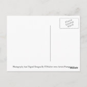 カターディン山 ポストカード (裏面)