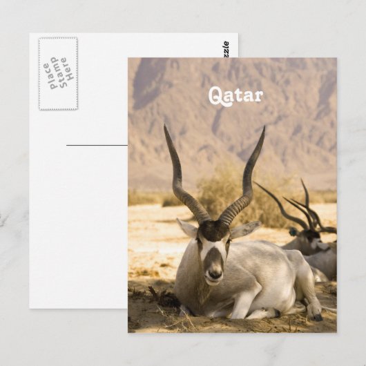 カタール ポストカード (正面/裏面)