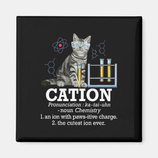 カチオンおもしろい – 化学ユーモア科学先生猫 マグネット (正面)
