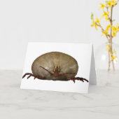 カチカチ カード (黄色い花)