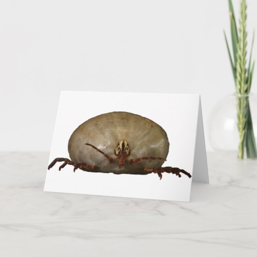 カチカチ カード (正面)