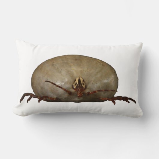 カチカチ ランバークッション (正面)