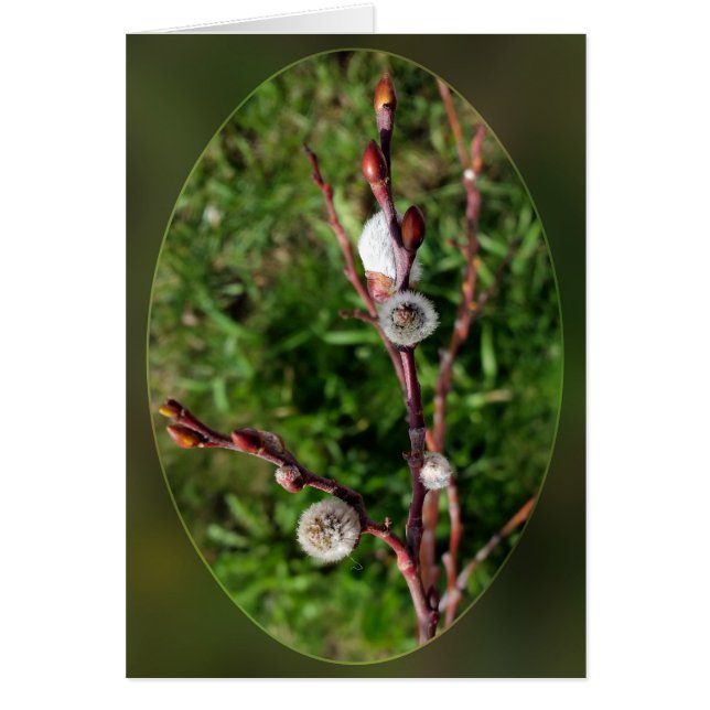 カチキンの跳ね上げ (正面)