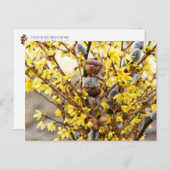 カチキン付きアコーン小妖精や小人春はがき ポストカード (正面/裏面)