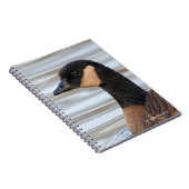 カックリングガチョウのプロフィール ノートブック (右側)