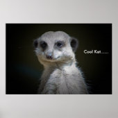 カックールト…... ポスター (正面)