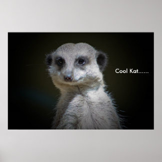 カックールト…... ポスター