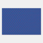 カッコいいすごい子猫 – 猫ラッピング紙シートセット ラッピングペーパーシート (正面2)