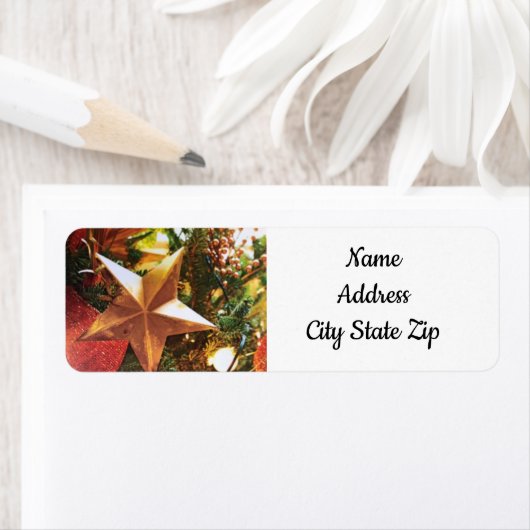 カッコいいクリスマススター*クリスマス*住所 シール (インサイチュ)