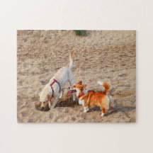 カッコいいビーチ