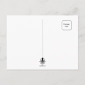 カッコいい子猫 ポストカード (裏面)