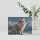 カッコいい子猫 ポストカード (スタンド正面)