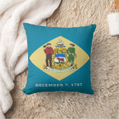 カッコいい州オブデラウェア州旗 クッション (ブランケット)