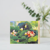 カッコいい美中国のしい蓮花の緑の葉 ポストカード (スタンド正面)