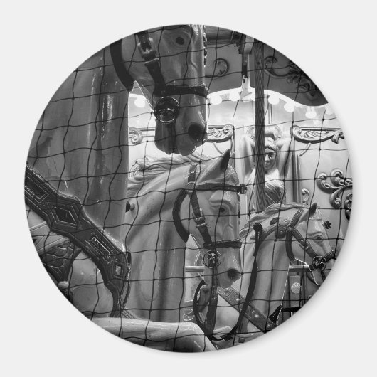 カッコいい都市、モダン回転木馬の馬の写真 マグネット (正面)