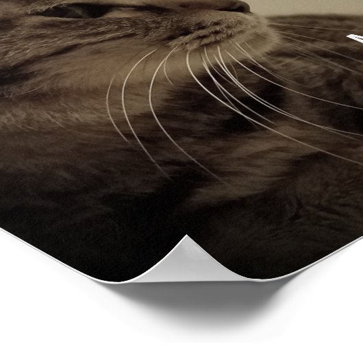 カッコいい&トおもしろいイレpeeサインミーム ポスター (角)