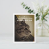 カッコいい&ルーおもしろいムウェルカムポストカード ポストカード (スタンド正面)