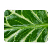 カッコウ海綿植物 マグネット (横)