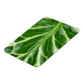 カッコウ海綿植物 マグネット (左側)