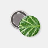 カッコウ海綿植物 マグネット (正面/裏面)