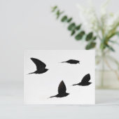 カッコウ群はがき ポストカード (スタンド正面)