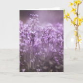 カッコウ花自然写真 カード (黄色い花)