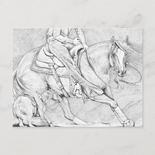 カッター ポストカード (正面)