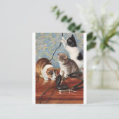 カッツェヴィンテージ ポストカード (スタンド正面)