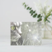 カッツ ポストカード (スタンド正面)