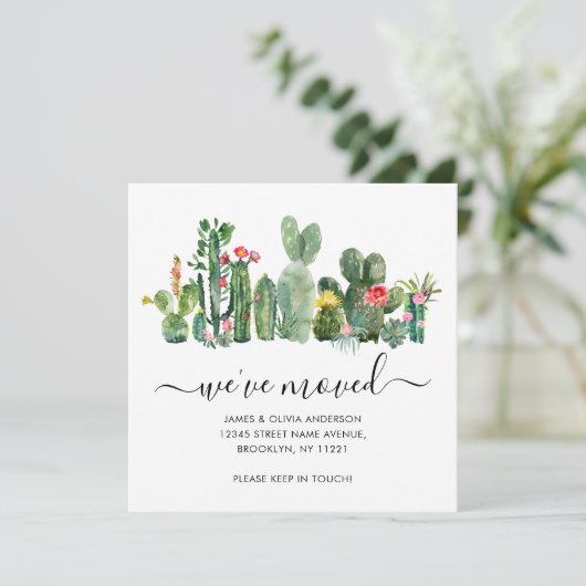 カッティモダン砂漠の植物の引っ越しました移動 案内状 (スタンド正面)