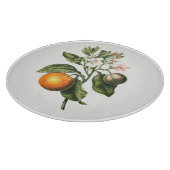 カッティングボード：ビターオレンジの花 カッティングボード (角)