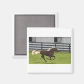 カッティンルーズ マグネット (正面/裏面)