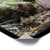 カッティ ポスター (角)