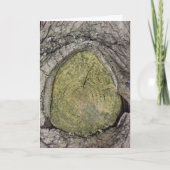 カットツリー分岐スタブ閉じる カード (正面)