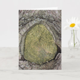 カットツリー分岐スタブ閉じる カード