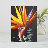 カットバードオブパラダイスフラワーズ4 招待状 (スタンド正面)