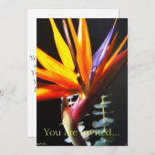 カットバードオブパラダイスフラワーズ4 招待状 (正面/裏面)