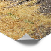 カッパドキアの道路 ポスター (角)