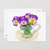 カップの中で孤立した美しいパンジーの花 ポストカード (正面/裏面)
