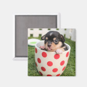 カップの中の小さな犬 マグネット (正面/裏面)