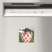 カップの中の小さな犬 マグネット (インサイチュ (食洗機))