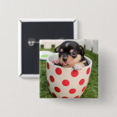 カップの中の小さな犬 缶バッジ (正面&裏面)