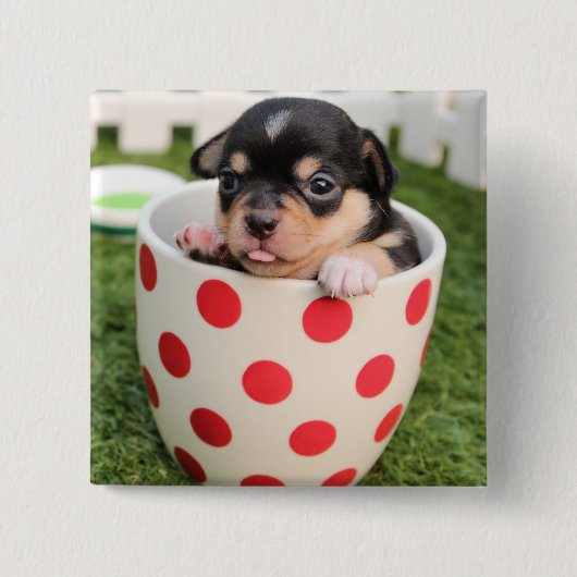 カップの中の小さな犬 缶バッジ (正面)