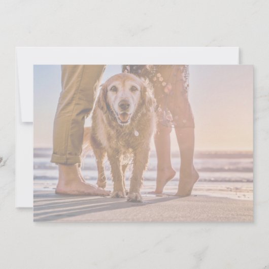 カップルとビーチ上の犬の日付カードを保存 セーブザデート (裏面)