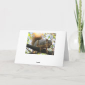 カップルのリスいけなル持ちナットのユーモアのカード カード (裏面)