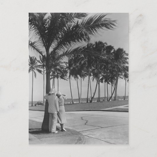 カップル立ってパームツリーリアビューB&W ポストカード (正面)