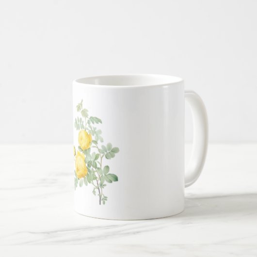 カップ (正面右)