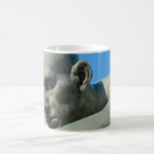 カップ・マグ コーヒーマグカップ (中央)